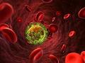 “治愈”的HIV病毒感染患者出现反弹